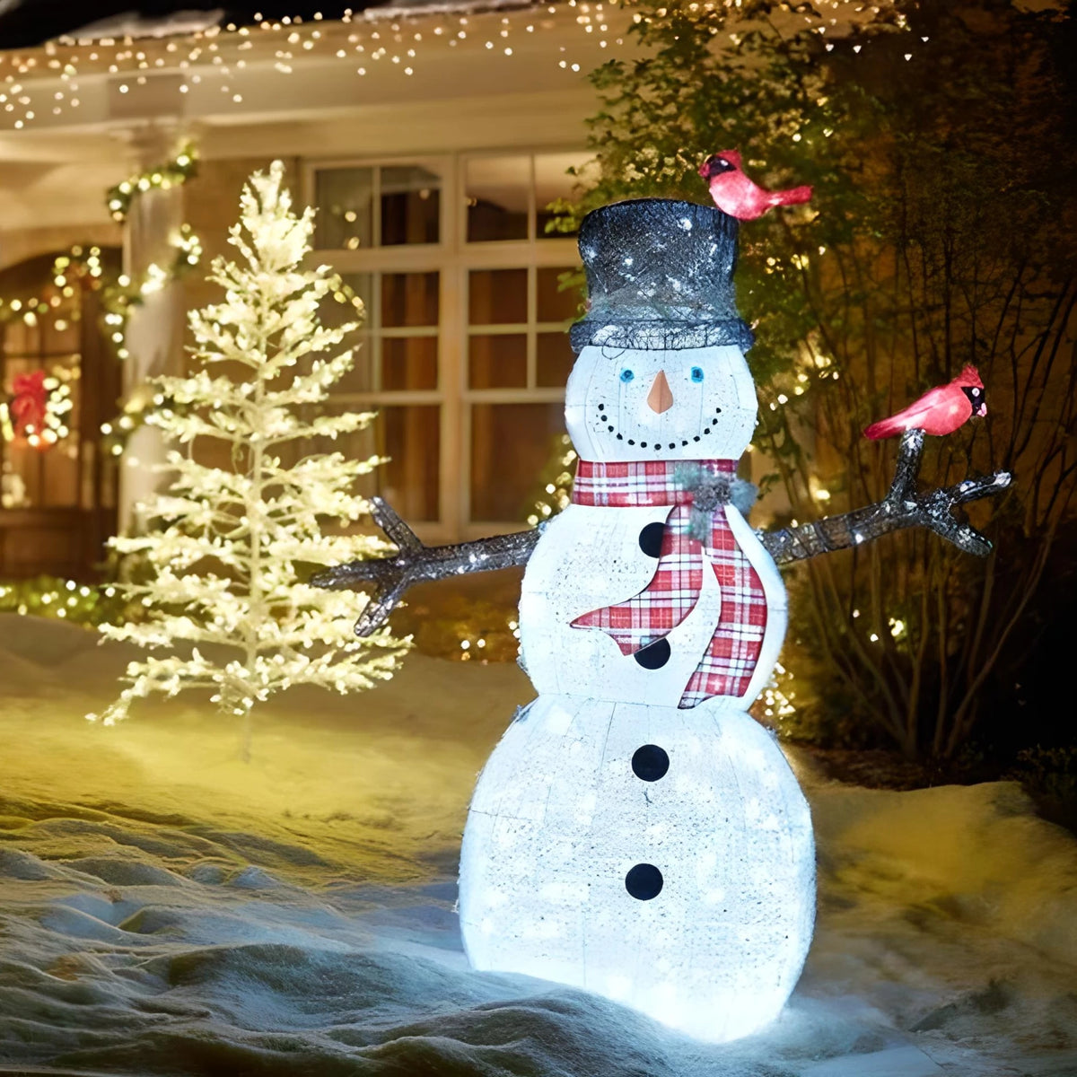 Decorazioni Luminose